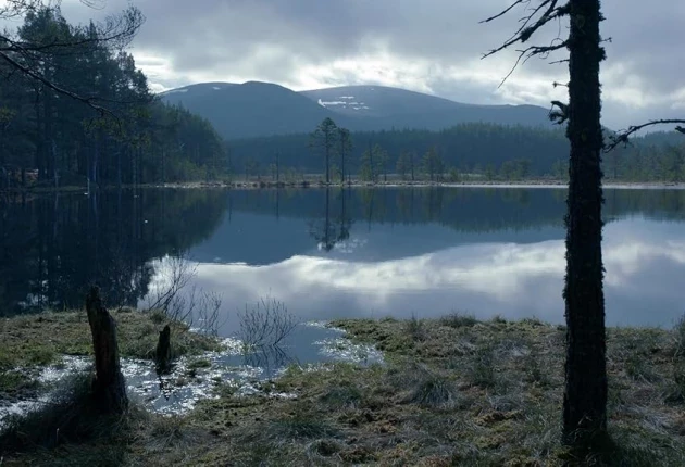 Картинка из сериала Чужестранка 1 сезон 12 серия